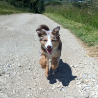 Photo #258817 de LADY