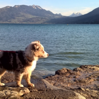 Photo #258820 de LADY