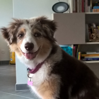 Photo #258825 de LADY