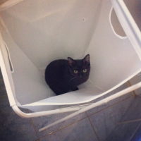 Photo #258885 de Suzy