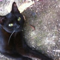 Photo #258889 de Suzy