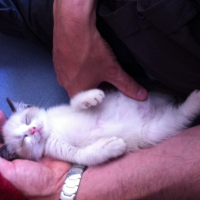 Photo #258898 de Lily