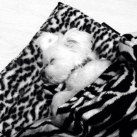 Photo #259156 de Joy
