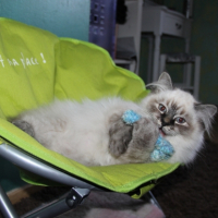 Photo #259454 de Bounty 