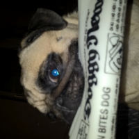 Photo #259489 de Joy