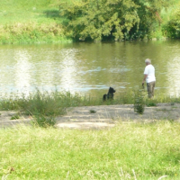 Photo #259646 de Charly