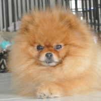 Photo #259728 de Bloo