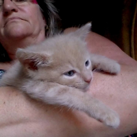 Photo #259751 de Baileys