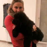 Photo #259791 de idole 