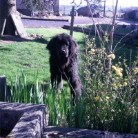 Photo #259793 de idole 