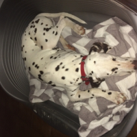 Photo #259875 de Lilou