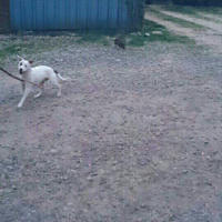 Photo #259911 de kiara 