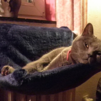 Photo #259921 de Maxou