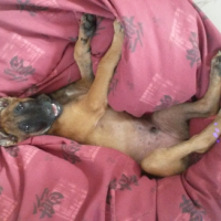Photo #259924 de Django