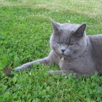 Photo #259936 de Maxou
