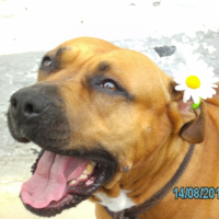 Photo #259971 de ziva