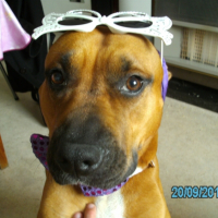 Photo #259972 de ziva