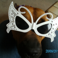Photo #259973 de ziva
