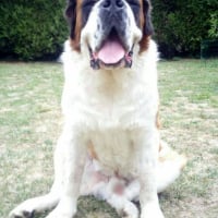 Photo #259975 de jackson
