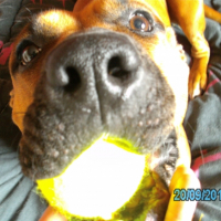Photo #259976 de ziva
