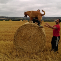 Photo #260023 de Tyson