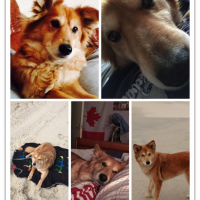 Photo #260056 de Dolly 