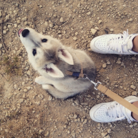 Photo #260088 de Maya