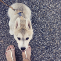 Photo #260089 de Maya