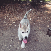 Photo #260090 de Maya