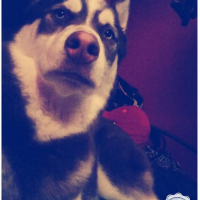 Photo #260123 de Milou 