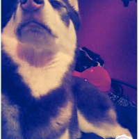 Photo #260126 de Milou 