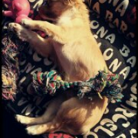 Photo #260171 de Lola