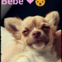 Photo #260175 de Lola