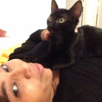 Photo #260303 de Simba et Nala 