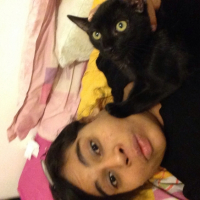Photo #260307 de Simba et Nala 