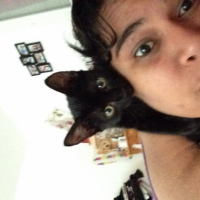 Photo #260308 de Simba et Nala 