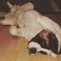 Photo #260311 de Igor