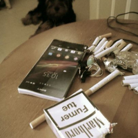 Photo #260367 de Chucky