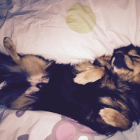 Photo #260443 de Winni 