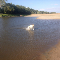 Photo #260461 de Junior