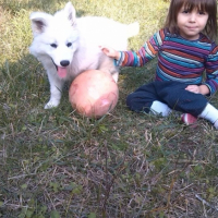 Photo #260516 de milka