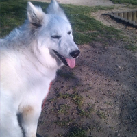 Photo #260520 de milka