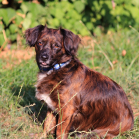 Photo #260553 de LiLi