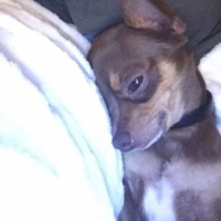 Photo #260594 de Cooky