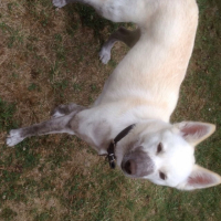 Photo #260634 de June
