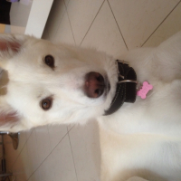 Photo #260635 de June