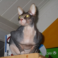 Photo #260681 de Jupiter