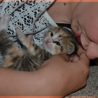 Photo #260731 de Kimy