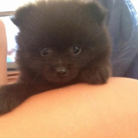 Photo #260873 de Belle