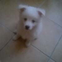Photo #260937 de yuki